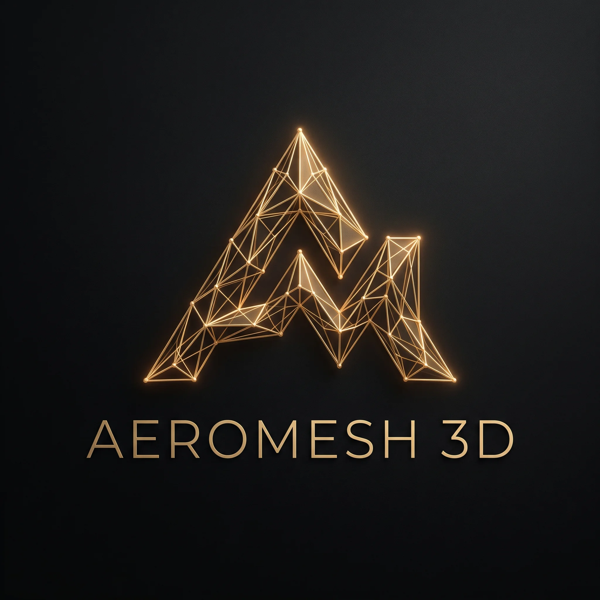 AeroMesh 3D Logo