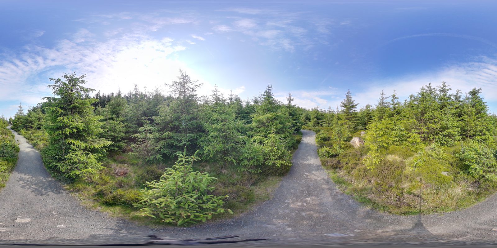 The boardwalk climbing through Ballinastoe forest
