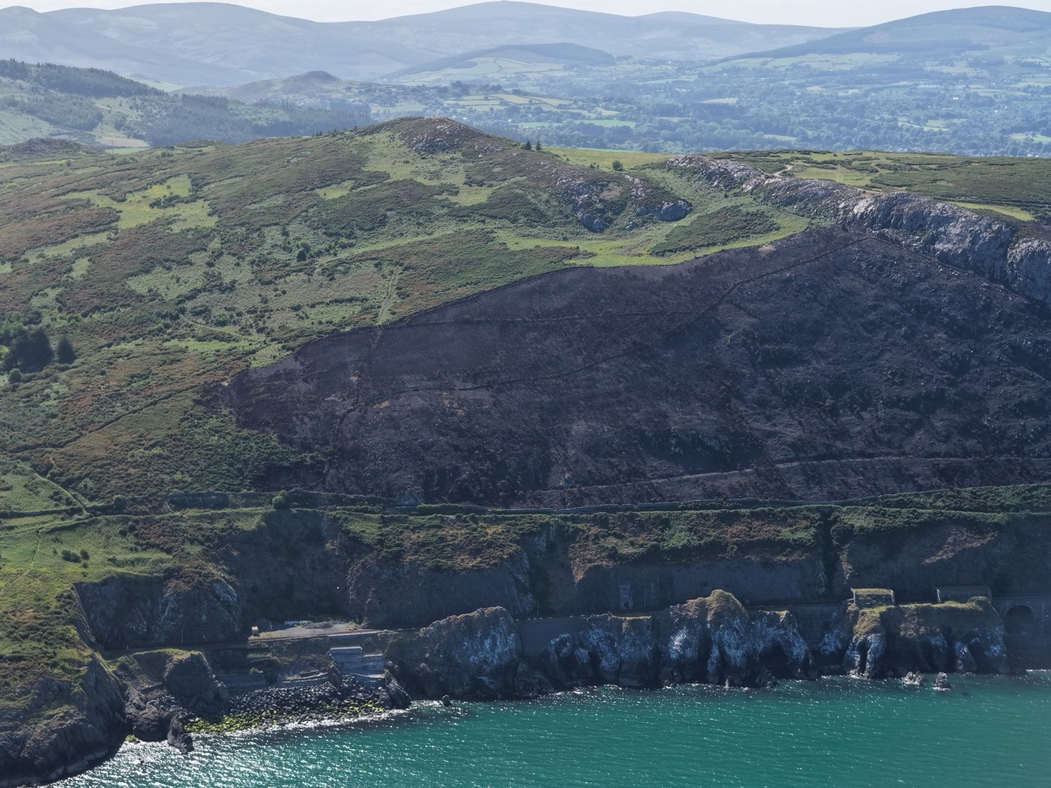 Gorse-covered slopes of Bray Head
