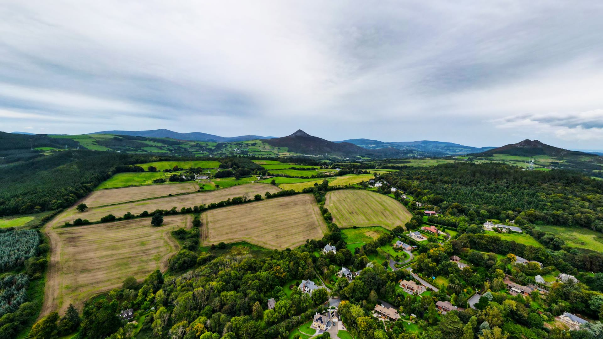 Fields and woods around Delgany village
