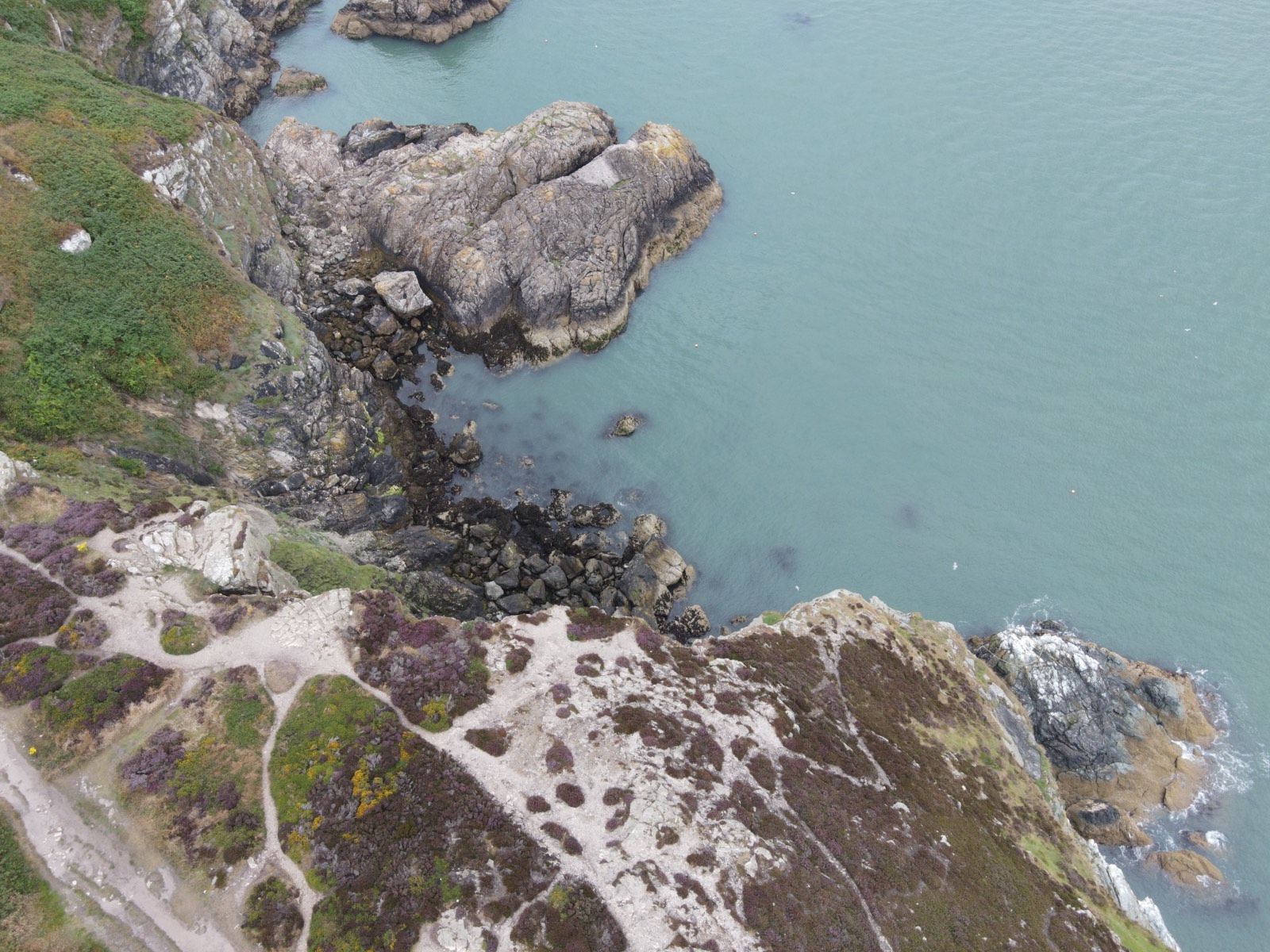 Howth cliffs above turquoise water