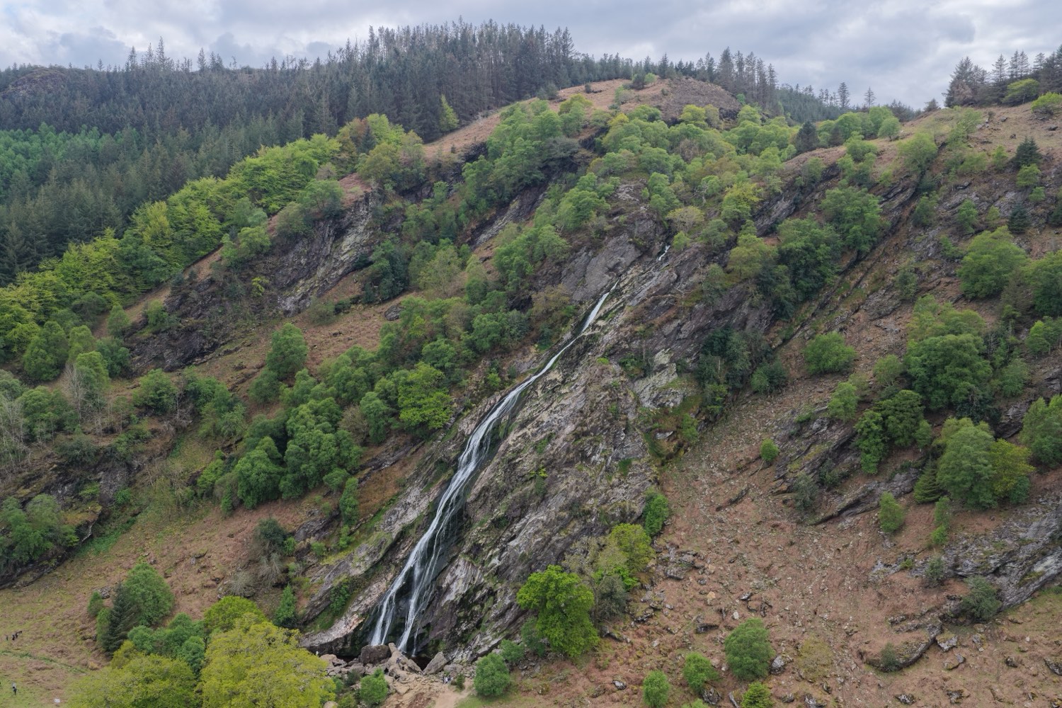 The base of Powerscourt Waterfall and woodland