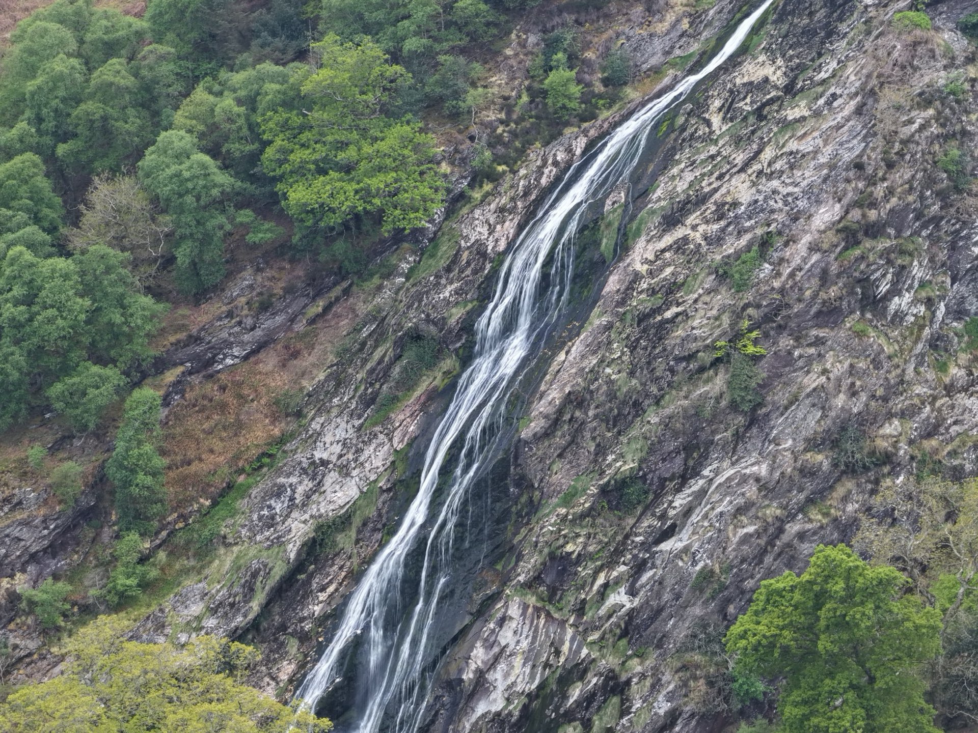 Powerscourt Waterfall cascading 121m down a wooded cliff, County Wicklow, Ireland — YouIn360 360° virtual tour
